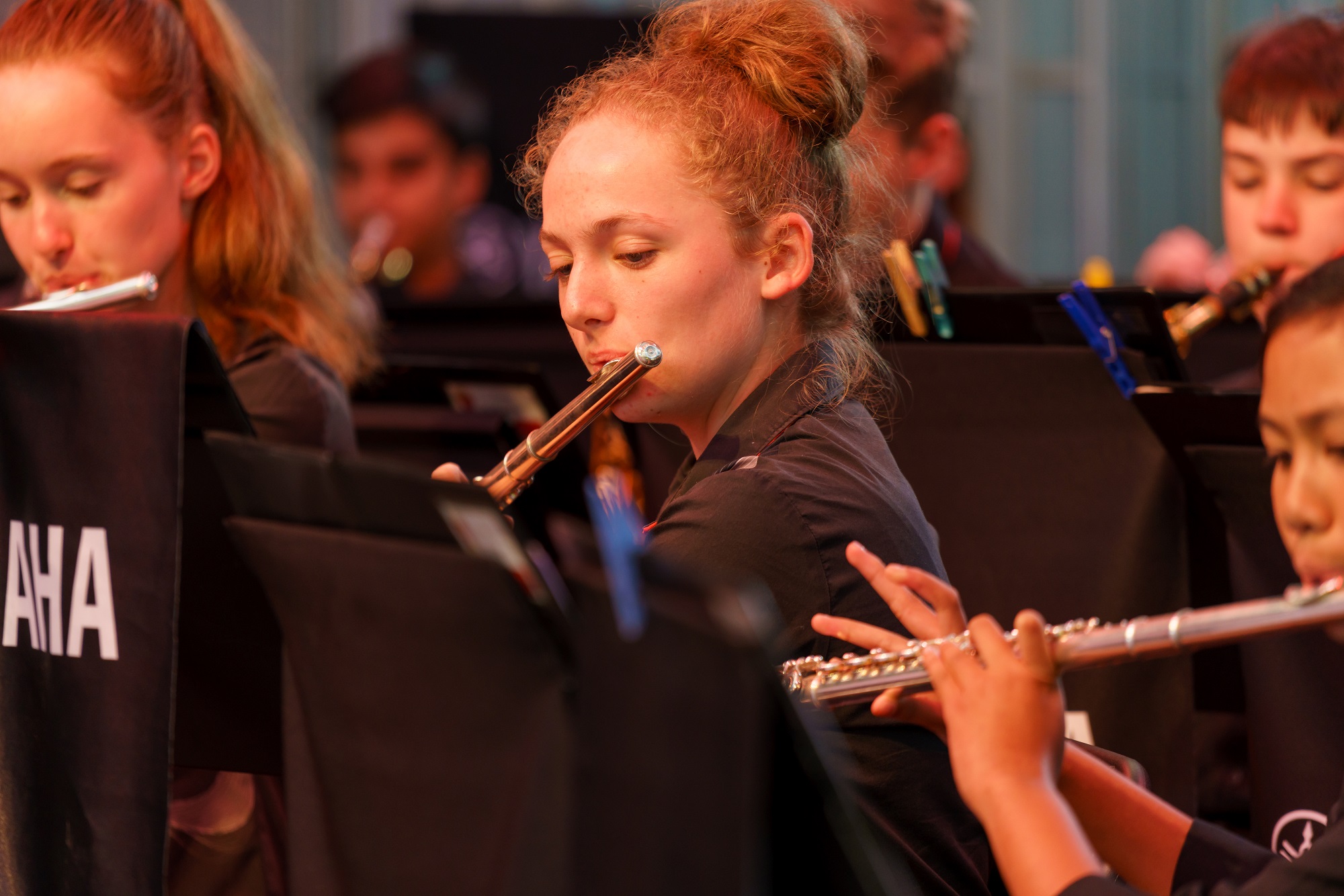 St Paul's Music Gallery St Paul's Music